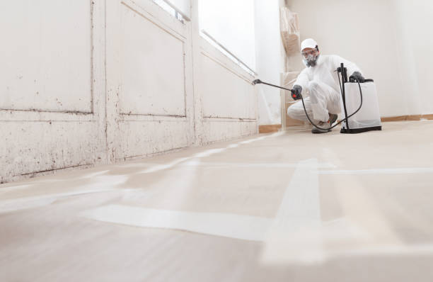 24/7 Emergency Mold Cleanup experts in Gaithersburg, MD
