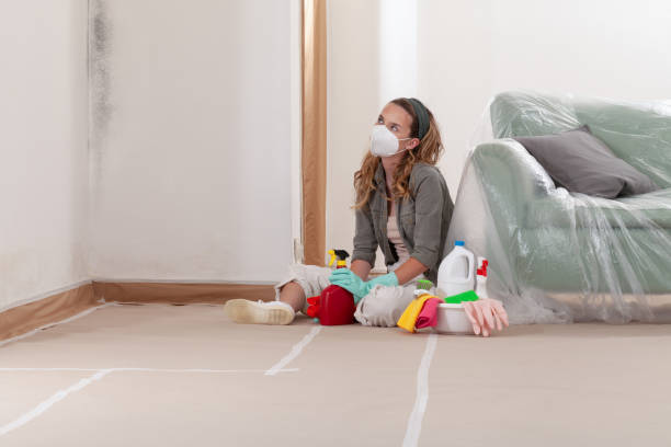 Reliable Mold Cleanup contractor in Gaithersburg, MD by Cheap Mold Removal